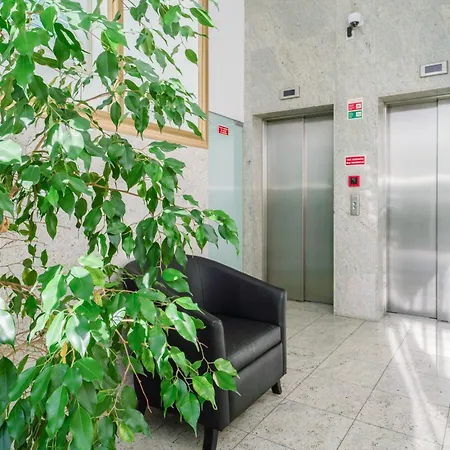 Host Wise - Gorgeous Spacious Flat - Ace Location Apartment Porto